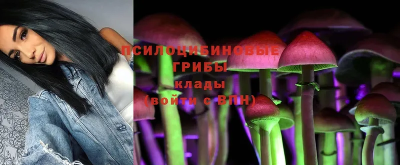 Псилоцибиновые грибы Magic Shrooms  МЕГА вход  Североморск  где найти наркотики 